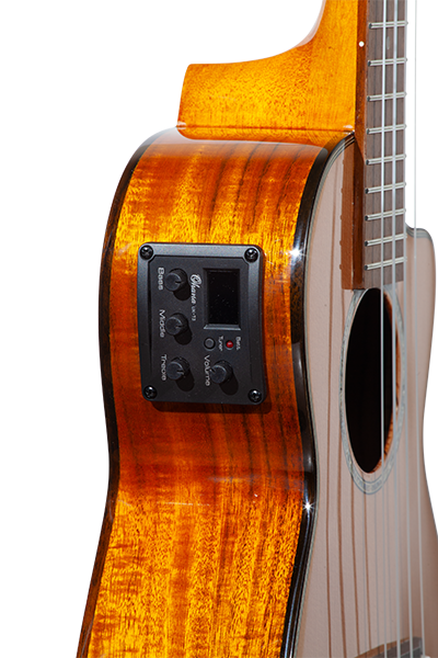 Limited Edition 260G Series Concert CK-260GCE