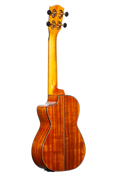 Limited Edition 260G Series Concert CK-260GCE