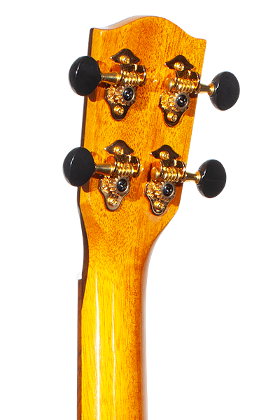 Limited Edition 260G Series Concert CK-260GCE