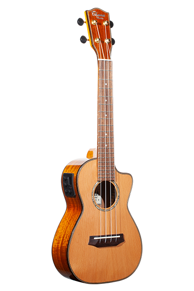 Limited Edition 260G Series Concert CK-260GCE