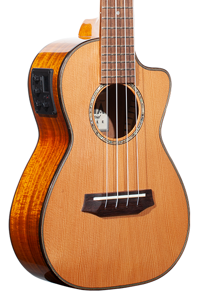 Limited Edition 260G Series Concert CK-260GCE