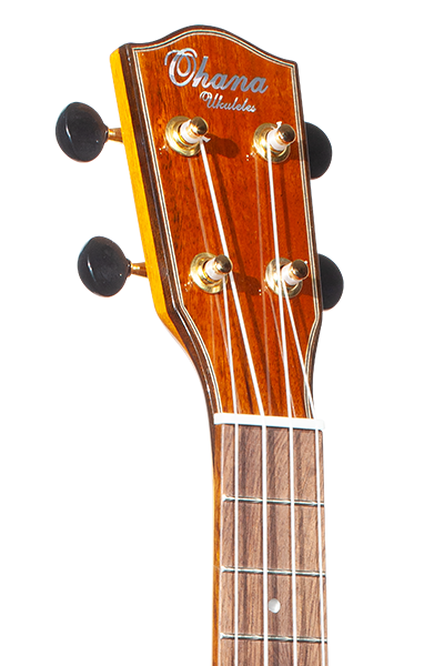 Limited Edition 260G Series Concert CK-260GCE