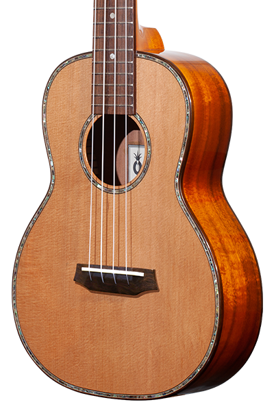 Limited Edition 260G Series