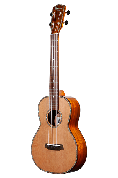 Limited Edition 260G Series