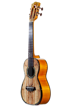 ギター UMA Ohana BK-35GCE Baritone Ukulele with Pickup – Elderly