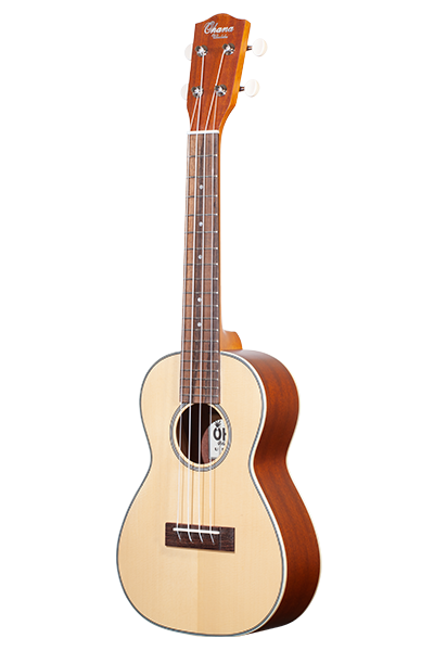 Solid Top 22 Concert CK-22