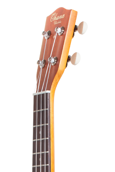 Solid Top 22E Slim Line Series