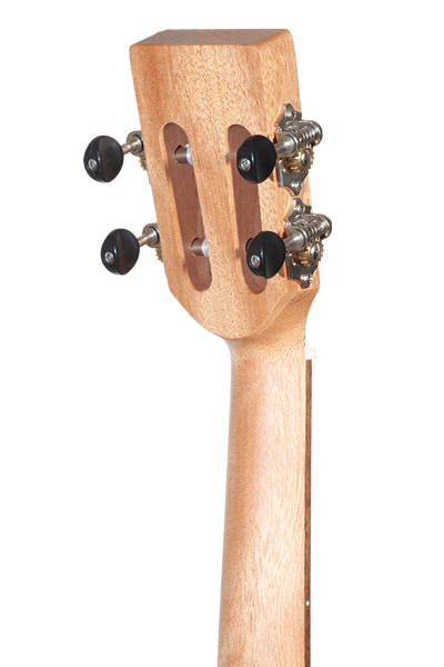 Solid Top 50ME Macassar Ebony Series