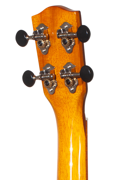 Solid Top 50WG Series