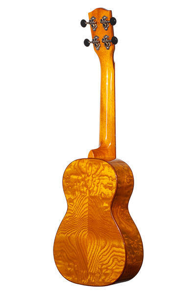 Solid Top 50WG Series