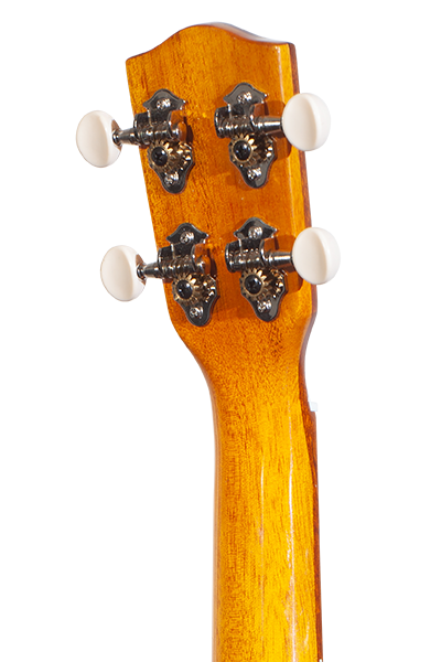 Solid Top 50WG Series