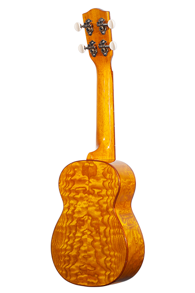 Solid Top 50WG Series