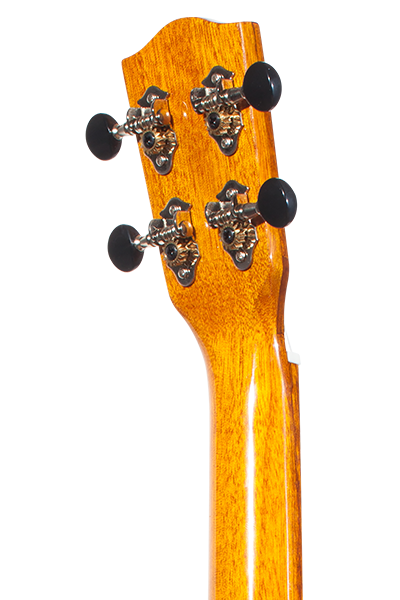 Solid Top 50WG Series