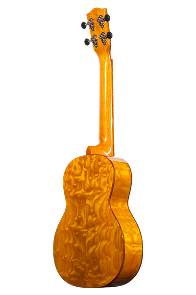 Solid Top 50WG Series