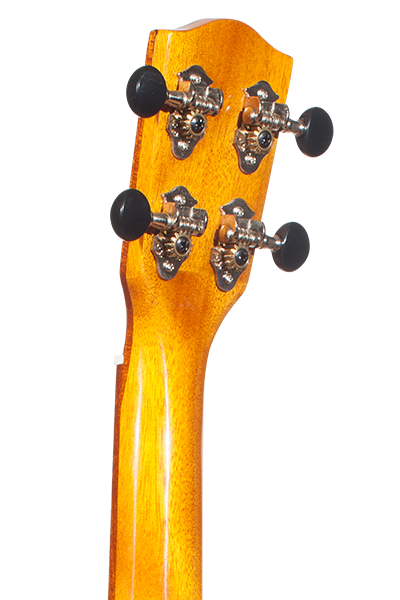 Solid Top 70WG Series