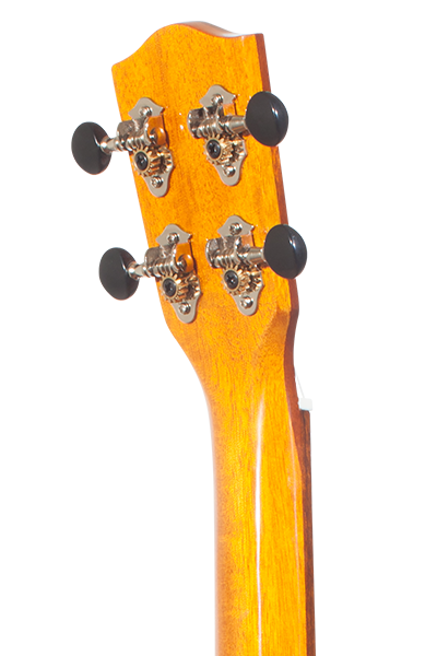 Solid Top 70WG Series