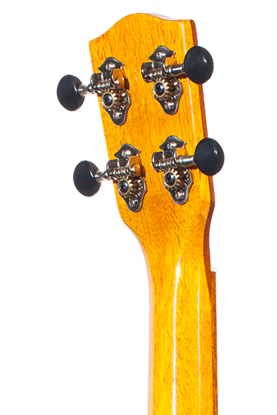 Solid Top 70WG Series