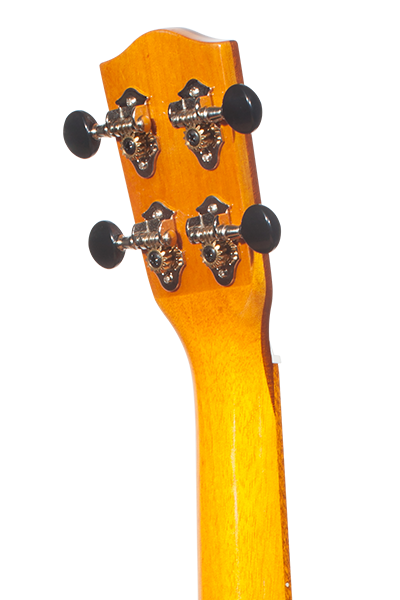 Solid Top 70WG Series