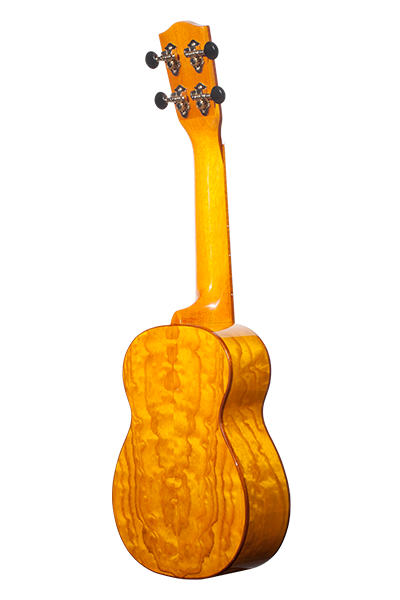 Solid Top 70WG Series