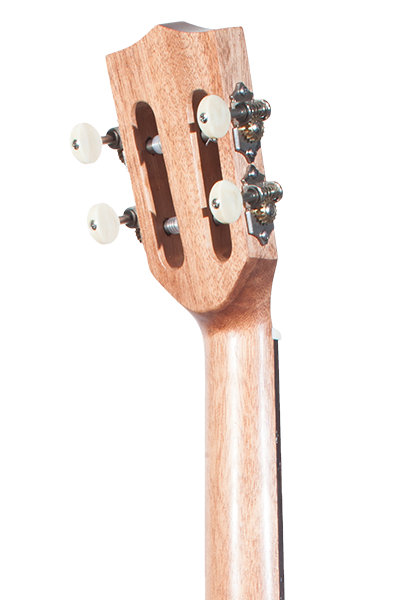 Solid Top Performance Rosewood Series