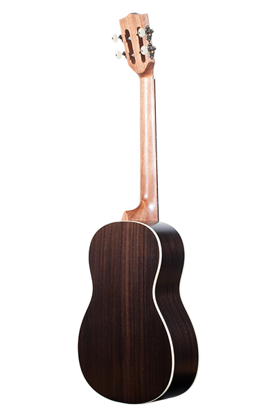 Solid Top Performance Rosewood Series