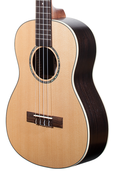 Solid Top Performance Rosewood Series