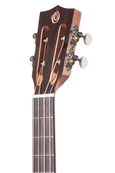 Solid Top Performance Rosewood Series