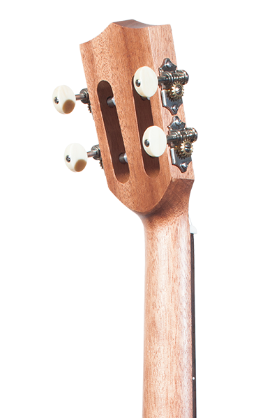Solid Top Performance Rosewood Series