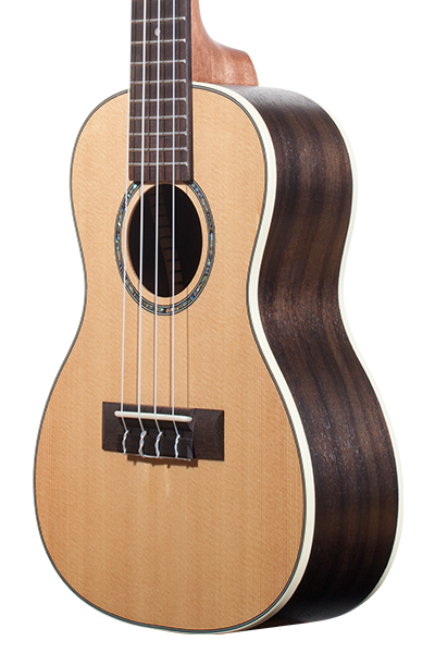 Solid Top Performance Rosewood Series