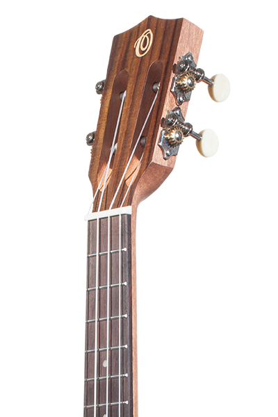 Solid Top Performance Rosewood Series
