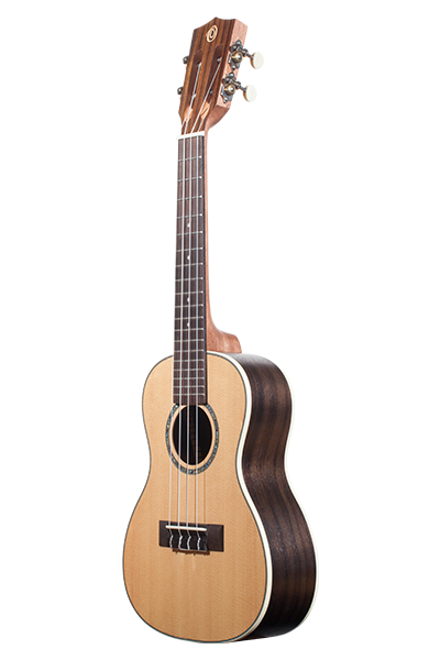 Solid Top Performance Rosewood Series