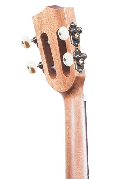 Solid Top Performance Rosewood Series