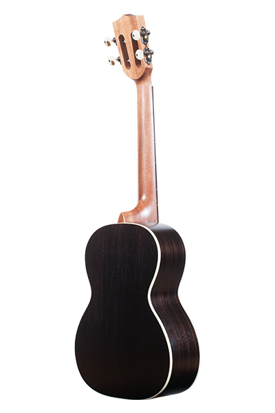 Solid Top Performance Rosewood Series