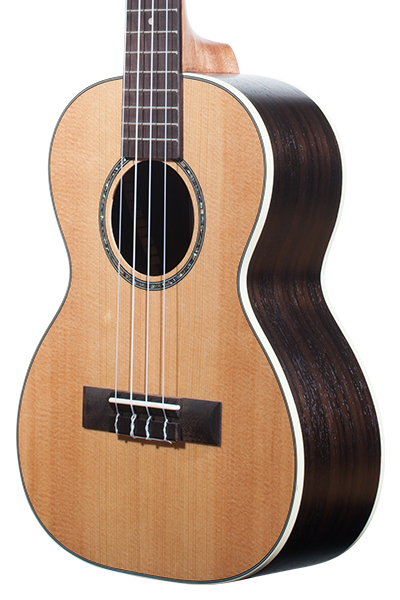 Solid Top Performance Rosewood Series