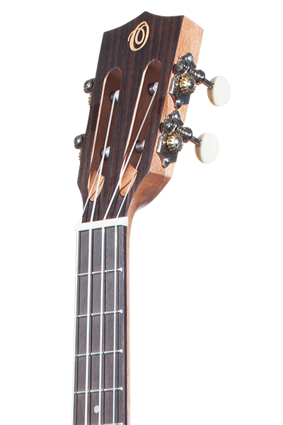 Solid Top Performance Rosewood Series