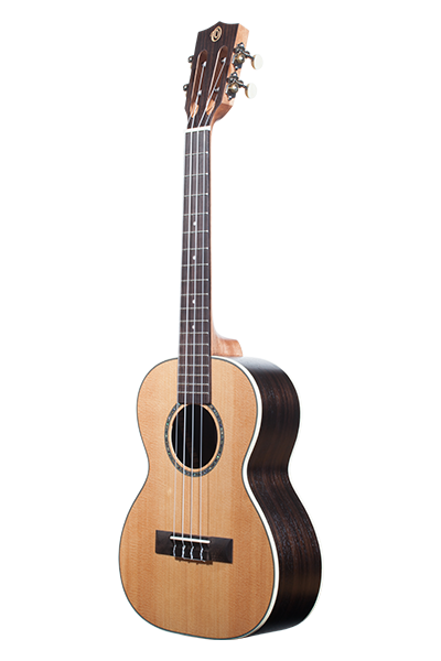 Solid Top Performance Rosewood Series