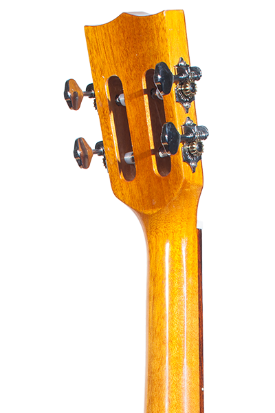 Ohana Bari-Tenor® BKT-70G Solid Spruce Top, Tenor Scale Baritone Body