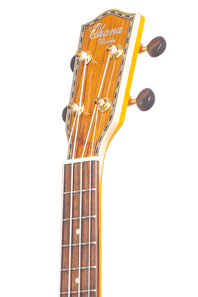 Limited Edition 45 Series