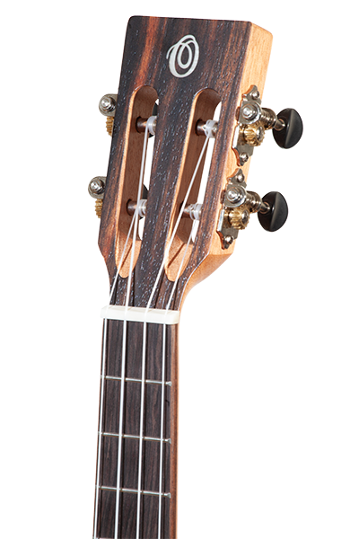 Headstock face of TK-50ME with slotted design and geared tuners