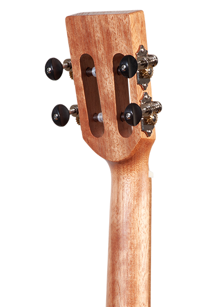Back of TK-50ME displaying striped ebony grain variation