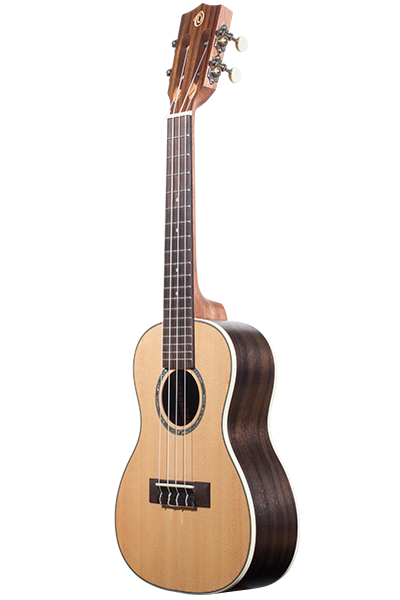 Solid Top Performance Rosewood Series