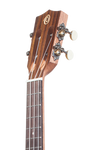 Solid Top Performance Rosewood Series