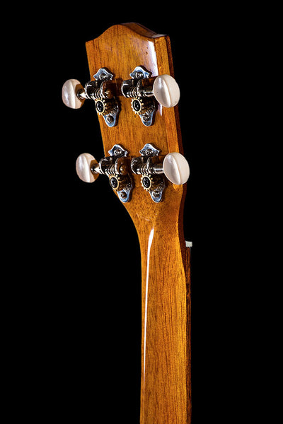 CK-70EL Solid Spruce And Eucalyptus Concert
