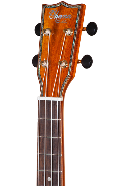Limited Edition TK-70KCE Solid Spruce & Koa with EQ Tenor