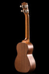 Long Scale CK-35L All-Solid Mahogany Tenor-Scale Concert
