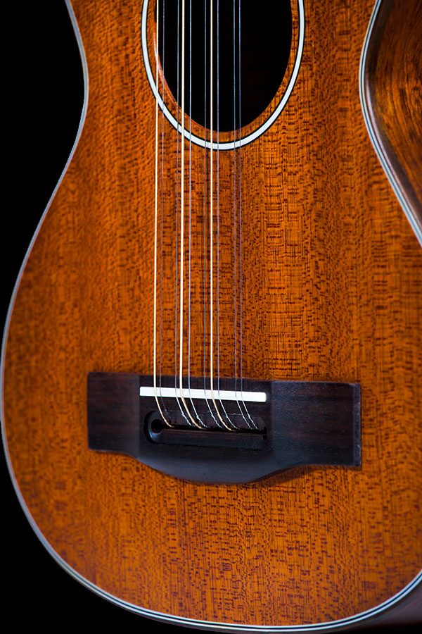 10 string guitar for sale discount